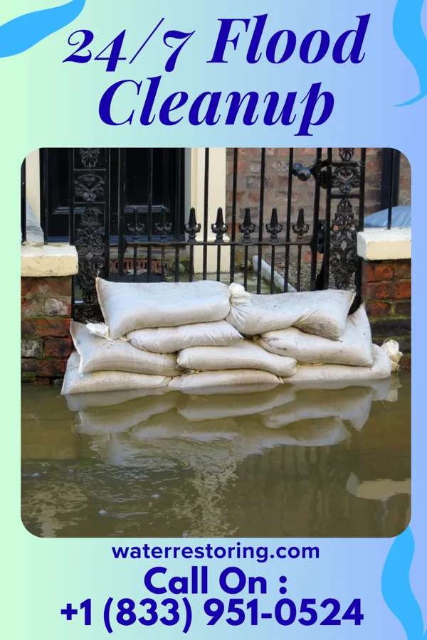 24/7 Flood Cleanup in The Pinehills, MA