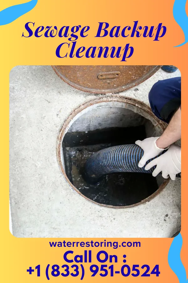 Sewage Backup Cleanup in The Pinehills, MA