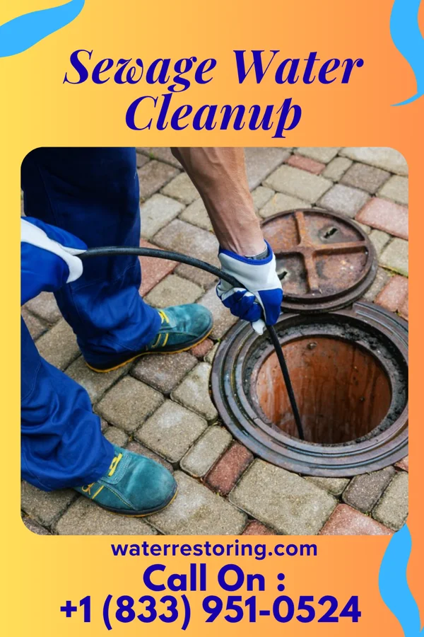 Sewage Water Cleanup in The Pinehills, MA