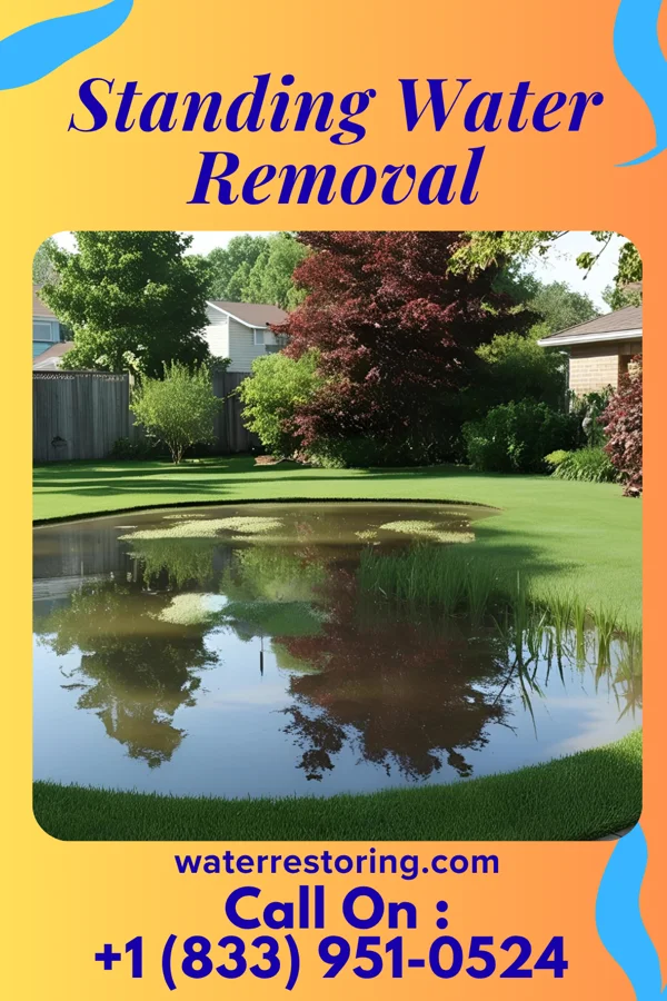 Standing Water Removal in The Pinehills, MA